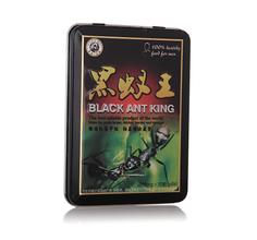 黒蟻王(BLACK ANT KING)